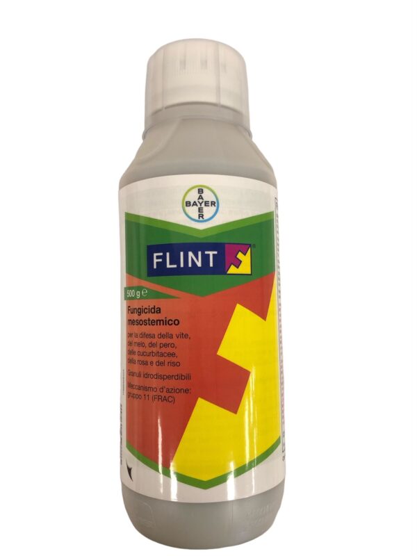 FLINT 50 WG - GR 500