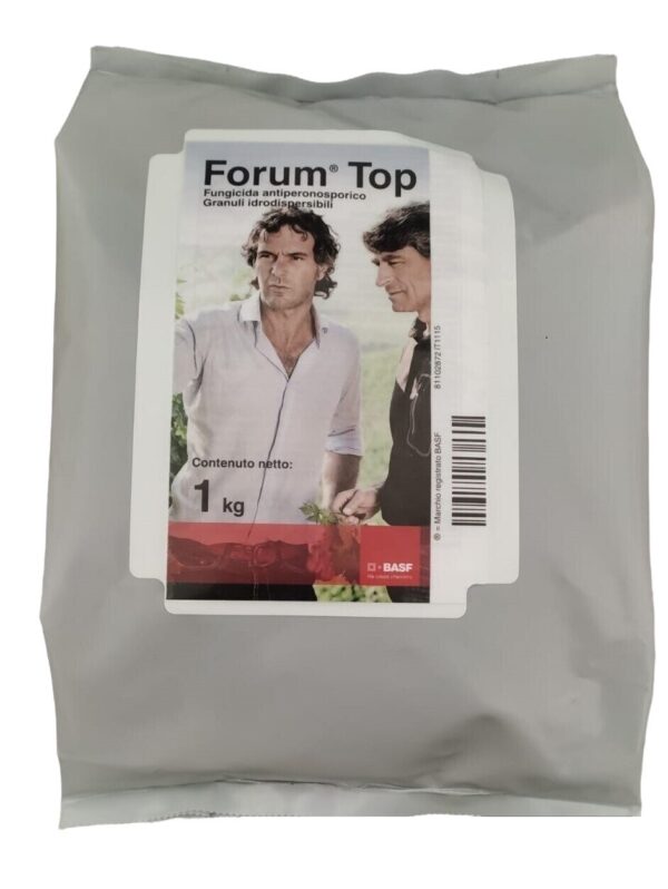 FORUM TOP KG. 1