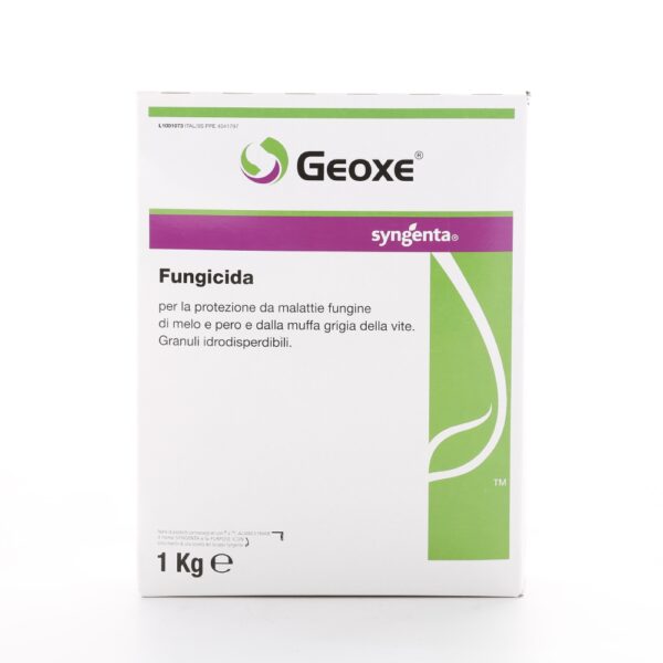 GEOXE KG. 1