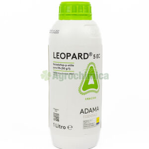 LEOPARD 5 EC Lt. 1