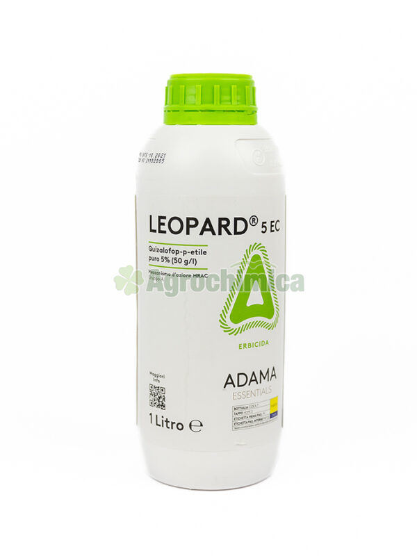 LEOPARD 5 EC Lt. 1