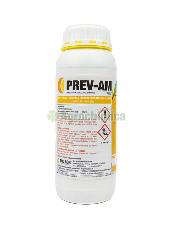 PREV-AM PLUS LT.1