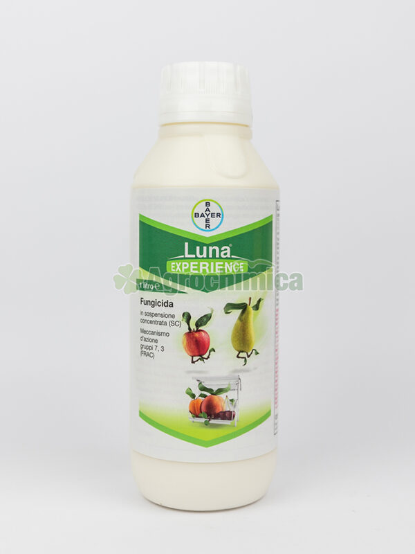 LUNA EXPERIENCE - LT 1