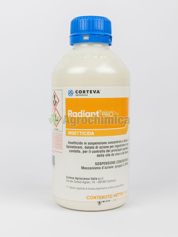 RADIANT PRO LT. 1