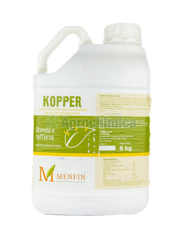 KOPPER KG. 6