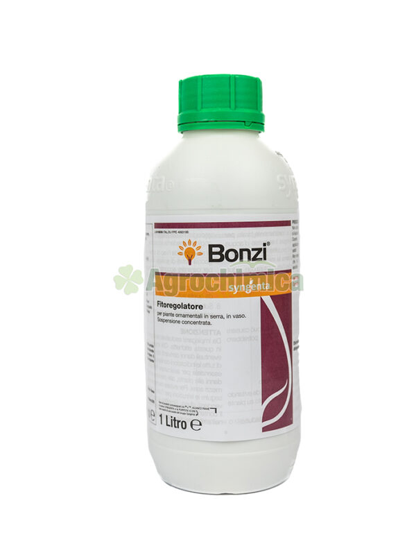 BONZI LT 1