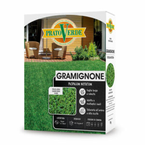 PRATO VERDE - GRAMIGNONE KG. 1