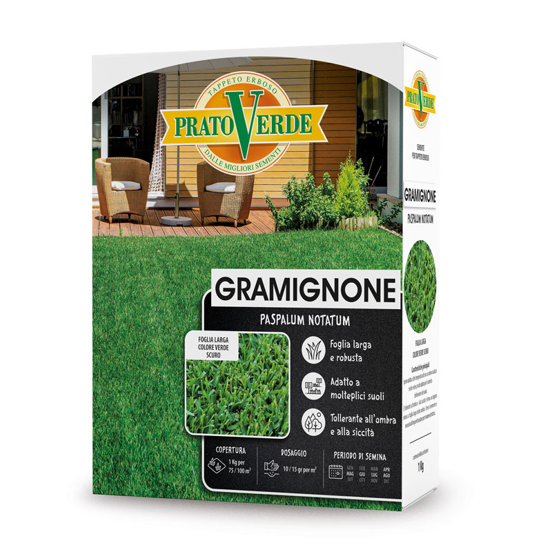 PRATO VERDE - GRAMIGNONE KG. 1