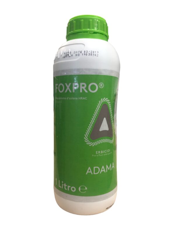 FOXPRO LT. 1