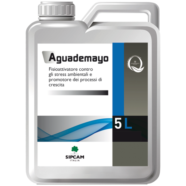 AGUADEMAYO LT. 5