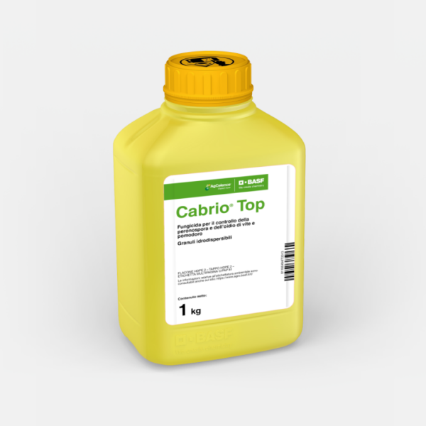 CABRIO TOP KG. 1