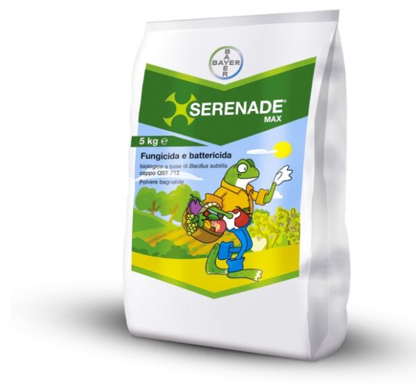 SERENADE MAX KG. 5