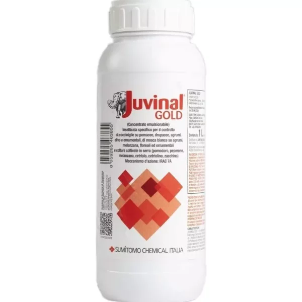 Juvinal Gold LT. 1