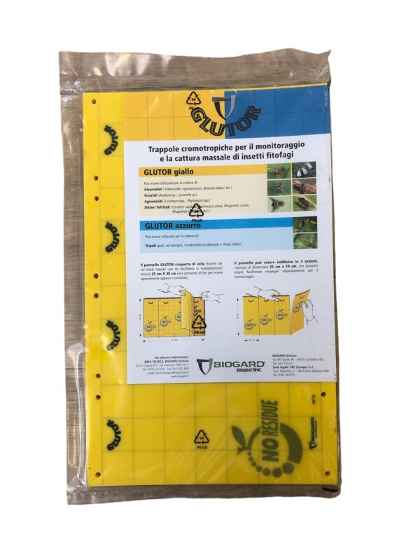 GLUTOR GIALLO TRAPPOLA